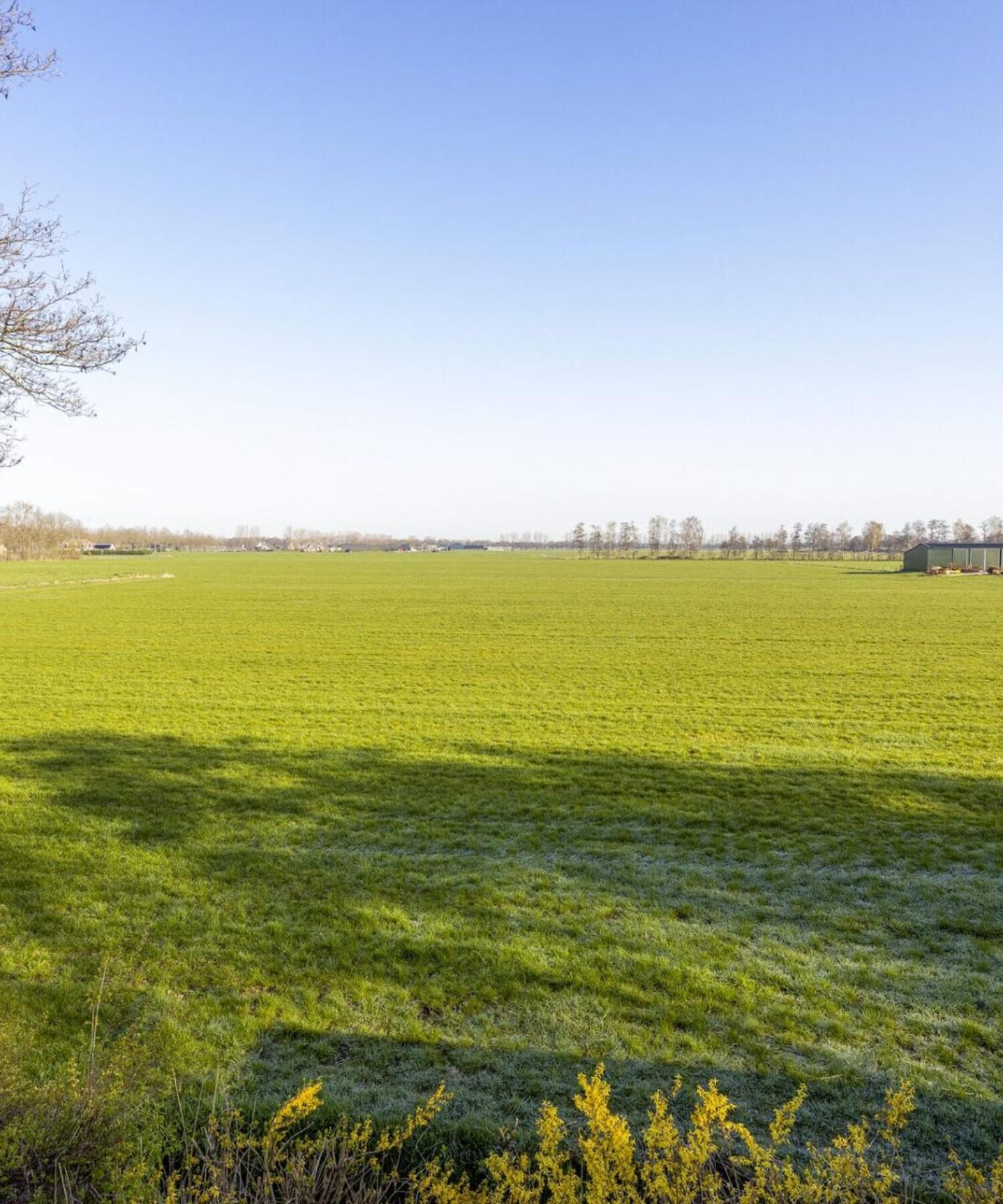 Huis kopen Vinkel