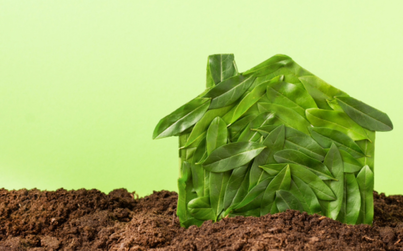 Groen huis