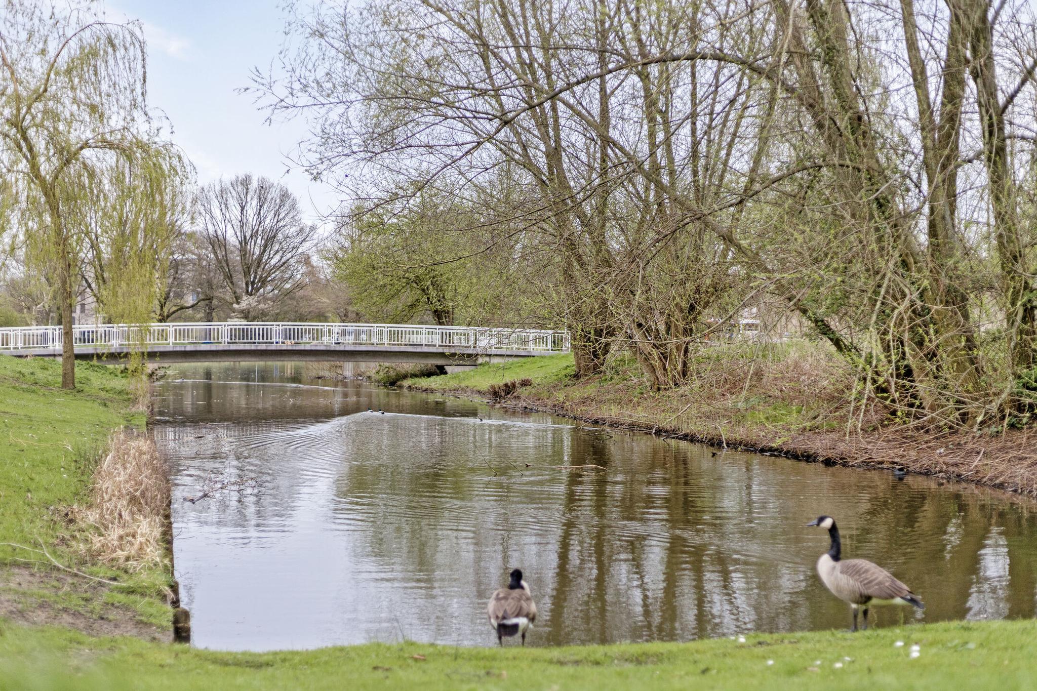Omgeving water, Michiel de Ruyterstraat 23 's-Hertogenbosch