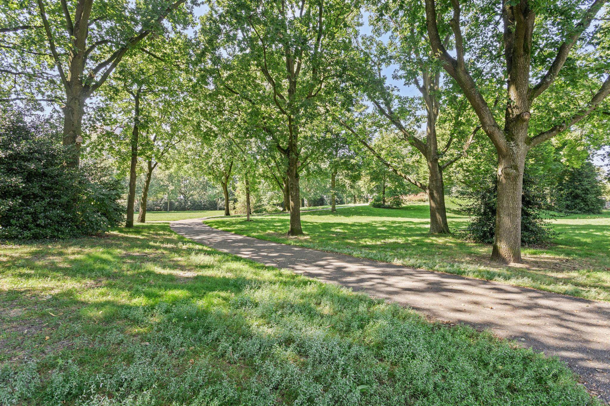 Rompert Park 127 in 's-Hertogenbosch